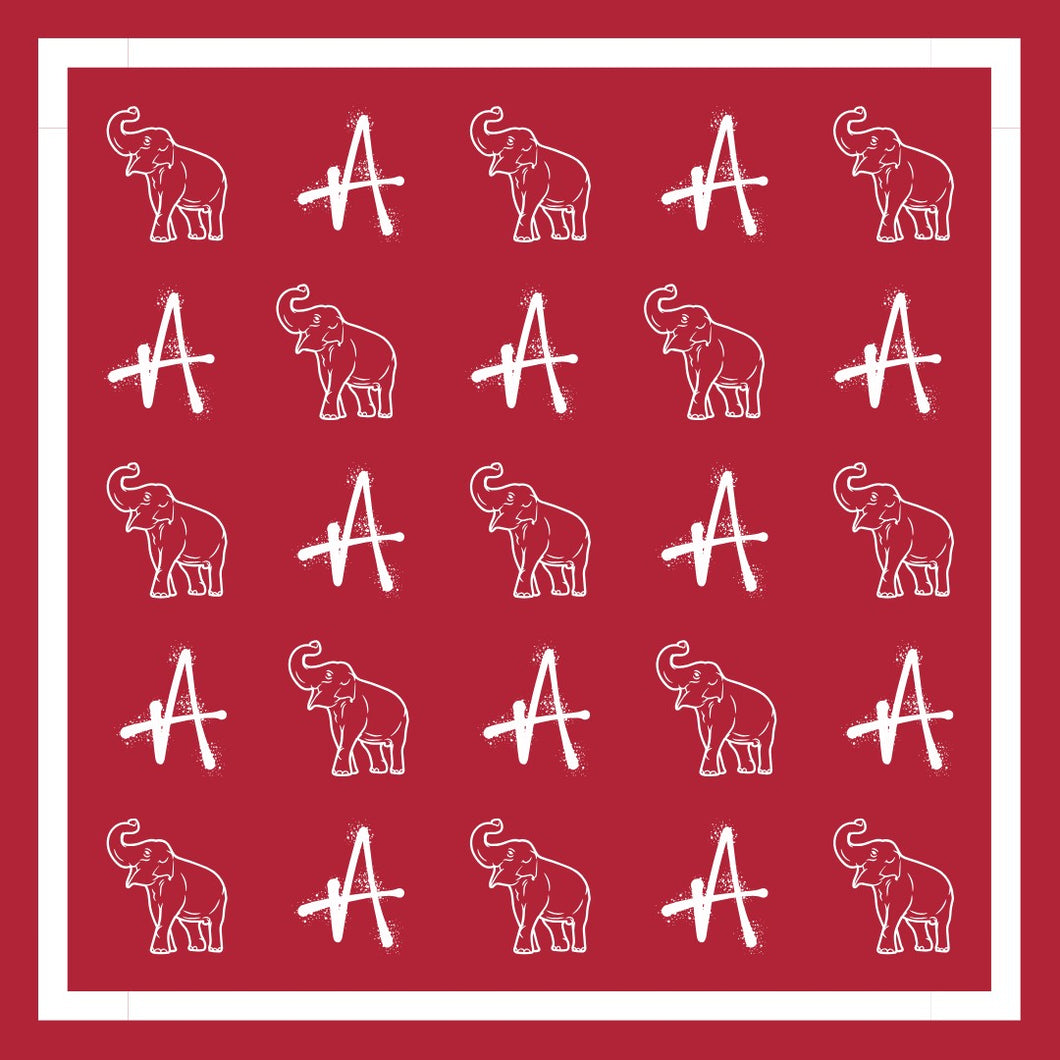 NEWEST ARRIVAL *PREORDER 9/8* Alabama Satin Scarf
