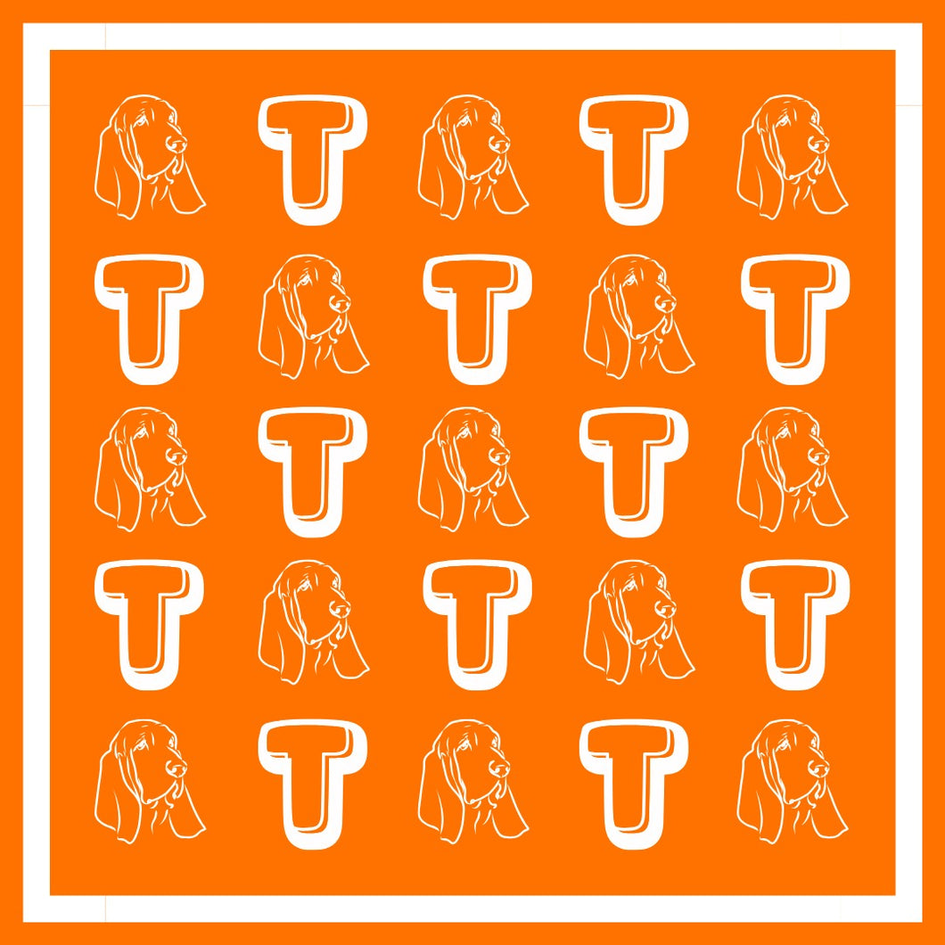 NEWEST ARRIVAL *PREORDER 9/8* Tennessee Satin Scarf