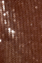 Load image into Gallery viewer, NEWEST ARRIVAL Brown Sequin Poncho Skirt Set
